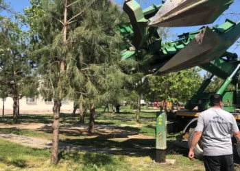 Gürsu’nun doğal güzellikleri korunuyor
