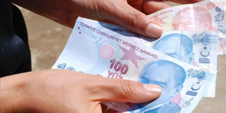 İçişleri Bakanlığı: İlkbahar-yaz operasyonları başlatıldı