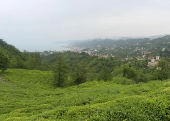 20 bin çay üreticisinin geleceği Rize’de, tedbirler üst seviyede