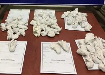 21 Yıl Hapi̇s Cezası Bulunan Şahıs Uyuşturucu Operasyonunda Yakalandı