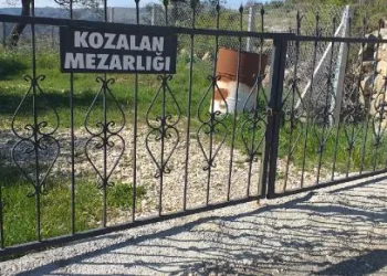 5 çocuk annesi, ayı saldırısında öldü