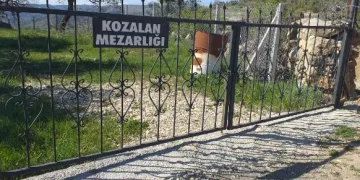 5 çocuk annesi, ayı saldırısında öldü