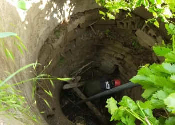 5 metrelik kuyuya düşen inek, kurtarıldı
