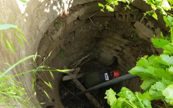 5 metrelik kuyuya düşen inek, kurtarıldı