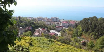 6 bin 900 TL maaşla, 2 bin çay işçisi arıyorlar