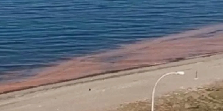 Karacabey’de deni̇z turuncuya döndü