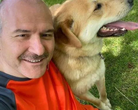 Bakan Soylu, sahiplendiği sokak köpeklerinin fotoğrafını paylaştı