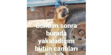 Köpeği̇ römorka asarak sosyal medyada paylaştı