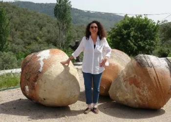 Adatepe’de yetiştirilen zeytinyağına, ABD’de altın madalya