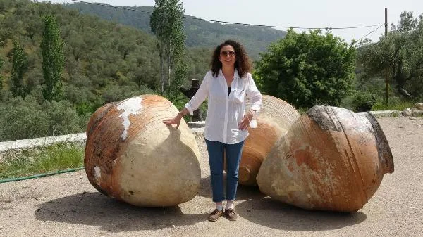 Adatepe’de yetiştirilen zeytinyağına, ABD’de altın madalya