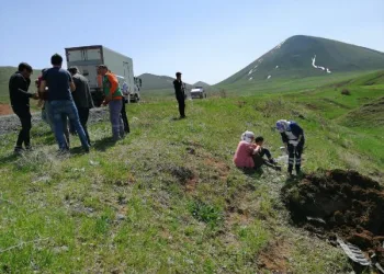 Ağrı’da hafif ticari araç, şarampole uçtu: 6 yaralı