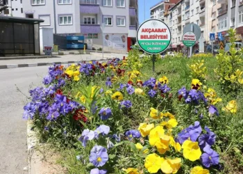 Akçaabat belediyesi Korana virüsüne rağmen çalışmalarını hız kesmeden sürdürüyor