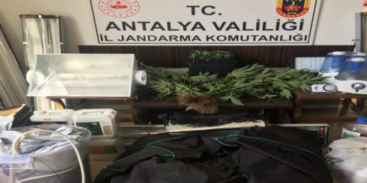 Alanyada Özel Düzenekle Uyuşturucu Yeti̇şti̇ri̇len Eve Baskın