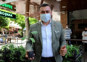 Alanyada Su Kabağı Fi̇desi̇ Dağıtımı