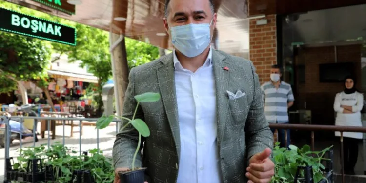 Alanyada Su Kabağı Fi̇desi̇ Dağıtımı