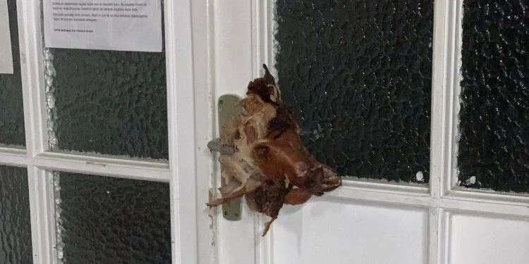 Almanya’da Irkçı Saldırı! Camiye domuz kafası astılar