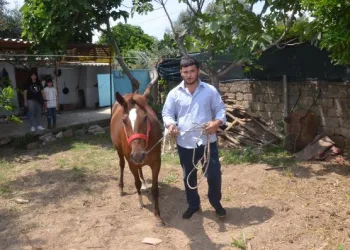 Alnında kuş figürü bulunan ‘Casper’ görenleri şaşırtıyor
