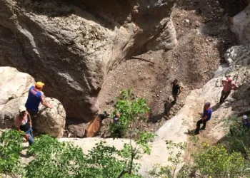 Amasyada Uçurumdan Düşen İnek Kurtarıldı