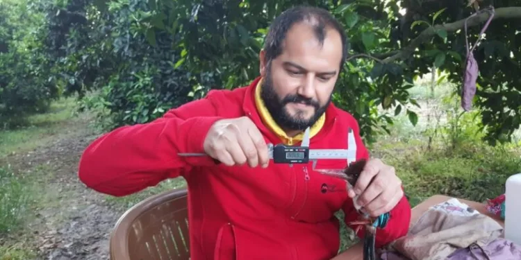 Antalyada Halkalanan Kuş Türleri̇ Sayısında Artış Yaşandı