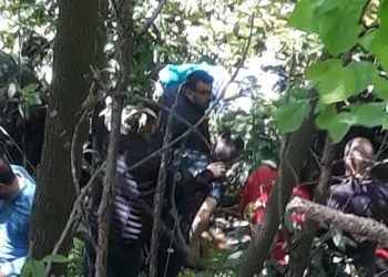 Arazi anlaşmazlığı nedeniyle 3 akrabasını öldüren şahıs ölü olarak bulundu