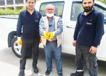 Arazide bulunan yaralı balaban kuşu tedavi altına alındı