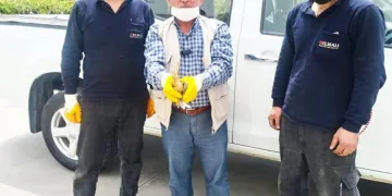 Arazide bulunan yaralı balaban kuşu tedavi altına alındı