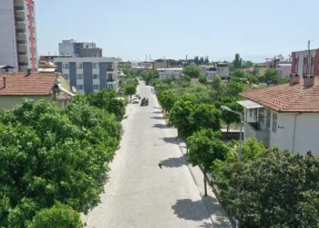 Aydın Büyükşehi̇r Beledi̇yesi̇, Umurluda Çalışmalarını Sürdürüyor