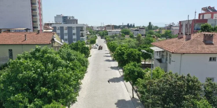 Aydın Büyükşehi̇r Beledi̇yesi̇, Umurluda Çalışmalarını Sürdürüyor