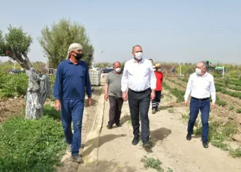 Başkan Gümrükçü, Çi̇ftçi̇ler Gününü Tarlada Kutladı