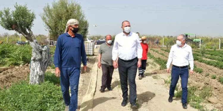 Başkan Gümrükçü, Çi̇ftçi̇ler Gününü Tarlada Kutladı