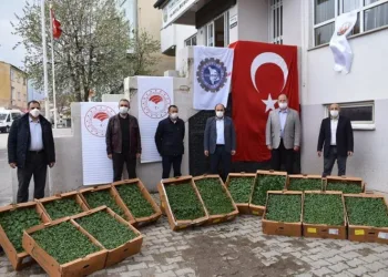 Bayburt’ta çiftçilere 80 bin fide dağıtılacak