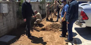 Bingöl’de Orman İşletmeden Fidan Dikimi