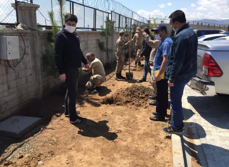 Bingöl’de Orman İşletmeden Fidan Dikimi