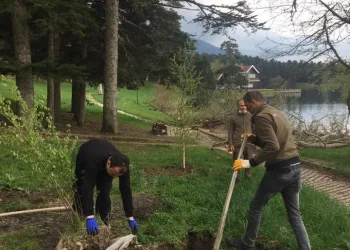 Bolu’da, Gölcük Tabiat Parkı’na fidan dikimi yapıldı