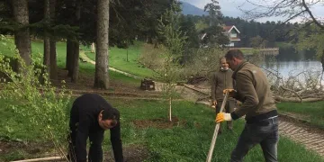 Bolu’da, Gölcük Tabiat Parkı’na fidan dikimi yapıldı