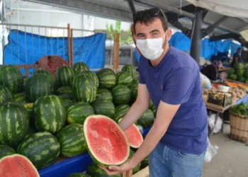 Boluda, Karpuzlar Herkes Alabi̇lsi̇n Di̇ye Yarım Ve Çeyrek Satılıyor