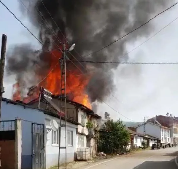 Bursa’da 2 ahşap ev, alev alev yandı