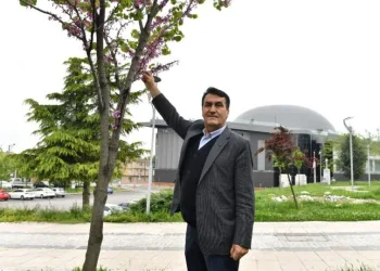 Osmangazi’de erguvan mevsimi başlıyor