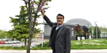 Osmangazi’de erguvan mevsimi başlıyor