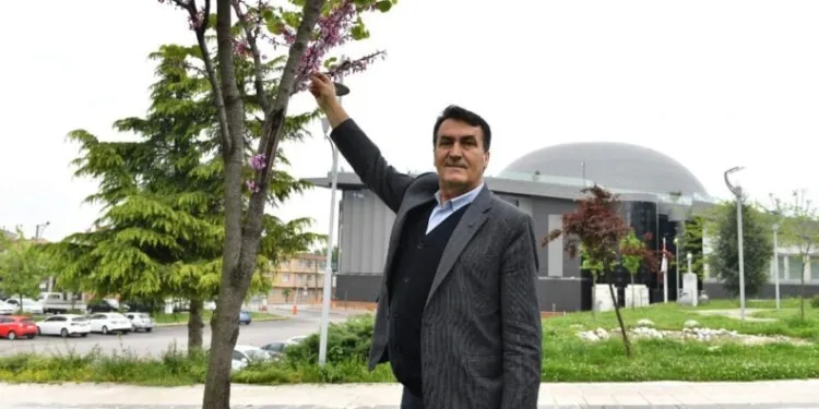 Osmangazi’de erguvan mevsimi başlıyor
