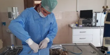 Bursa’da kazazede kedi̇ ameli̇yat edi̇ldi̇