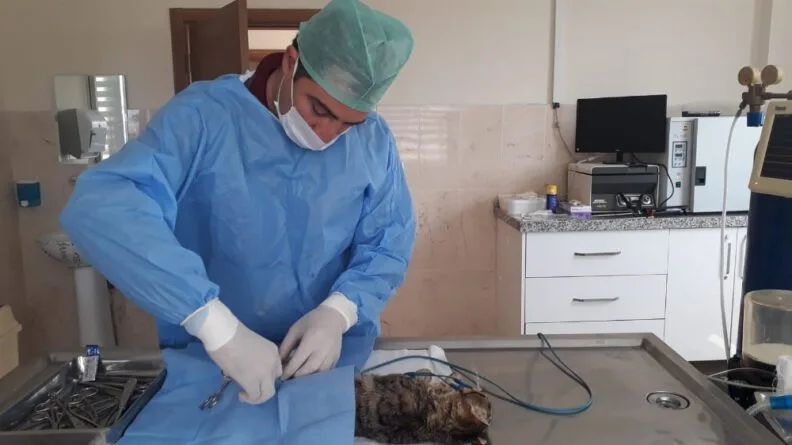 Bursa’da kazazede kedi̇ ameli̇yat edi̇ldi̇