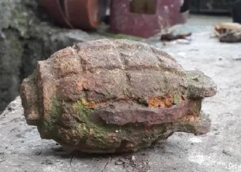 Bursalı çiftçi tarlasında el bombası buldu