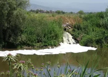 Büyük Menderes Nehri’nde kirlilik dördüncü aşamada