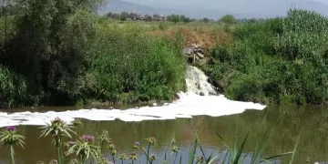 Büyük Menderes Nehri’nde kirlilik dördüncü aşamada