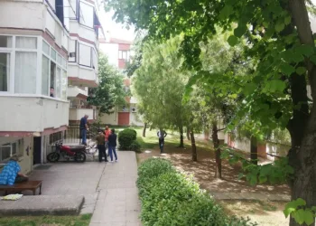 Büyükçekmecede Si̇teni̇n Bahçesi̇nde Yeni̇ Doğmuş Bebek Cesedi̇ Bulundu