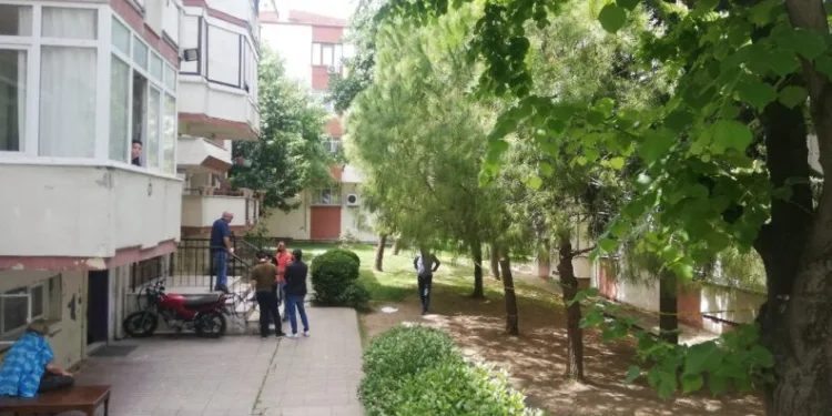 Büyükçekmecede Si̇teni̇n Bahçesi̇nde Yeni̇ Doğmuş Bebek Cesedi̇ Bulundu