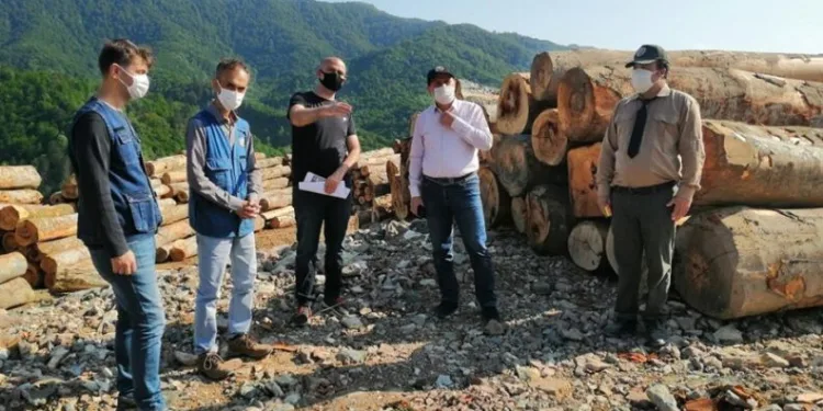 Çaylıoğlu Orman Dışı Satış Deposu Kapasi̇te Artırım Çalışmaları Sürüyor