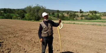Yakaladığı 1,5 metrelik yılanla oynadı