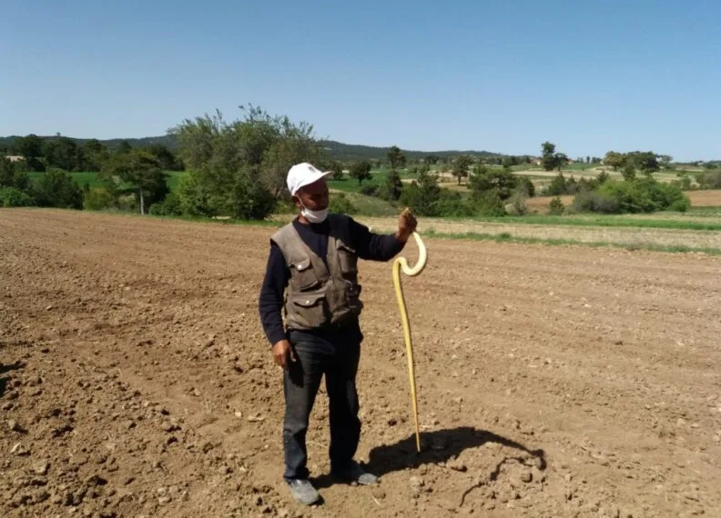 Yakaladığı 1,5 metrelik yılanla oynadı